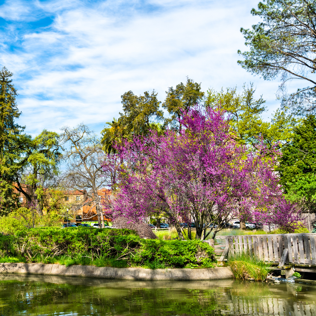 Sacramento Parks & Recreation | Kim Nicols Realtor